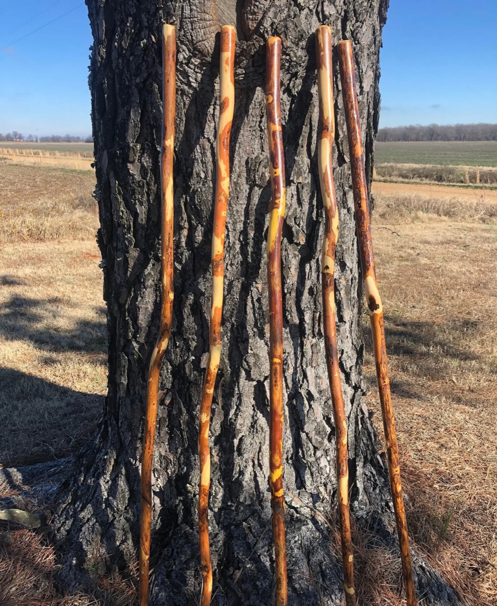 Handcrafted hiking staffs leaning against a tree
